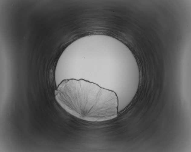 X0000084520263200703231637