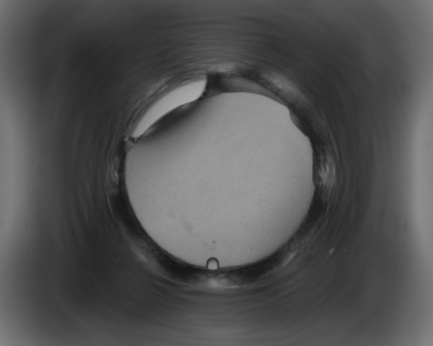 X0000084520264200703231637