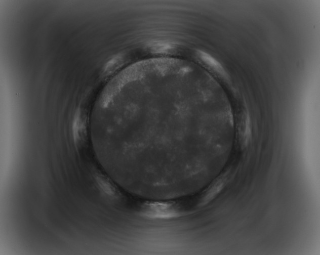 X0000084520265200703231637