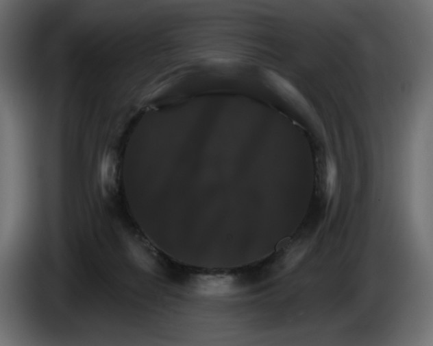 X0000084520266200703231637