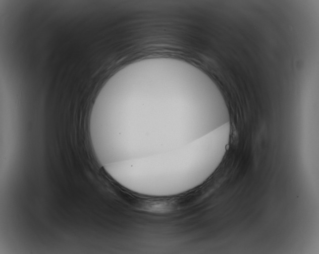 X0000084520267200703231637