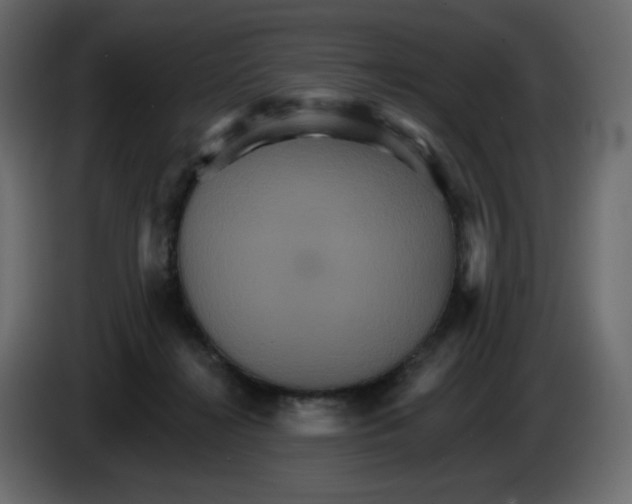 X0000084520268200703231637