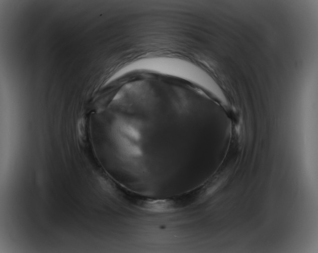 X0000084520269200703231637