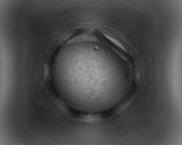 X0000084520270200703231637