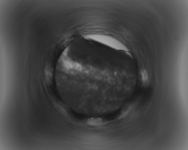 X0000084520271200703231637