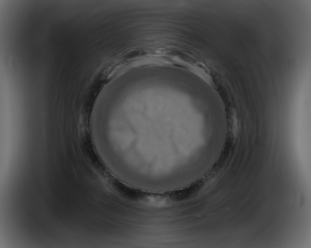 X0000084520272200703231637