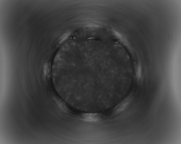 X0000084520273200703231637