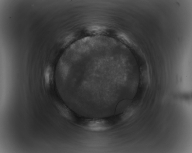 X0000084520274200703231637