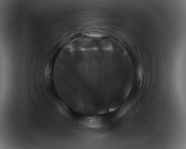 X0000084520275200703231637
