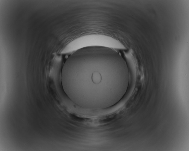 X0000084520276200703231637
