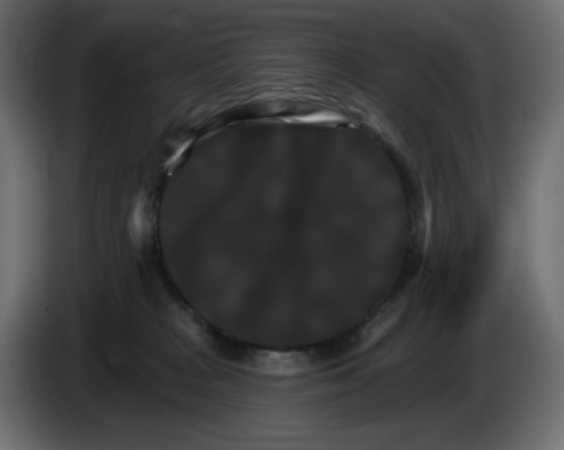 X0000084520277200703231637