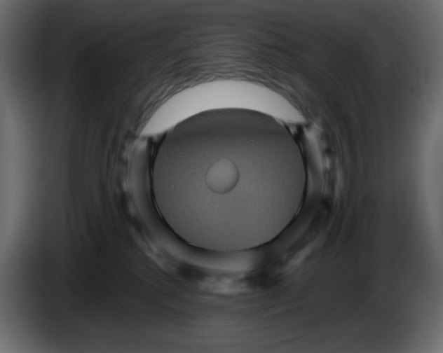 X0000084520280200703231637