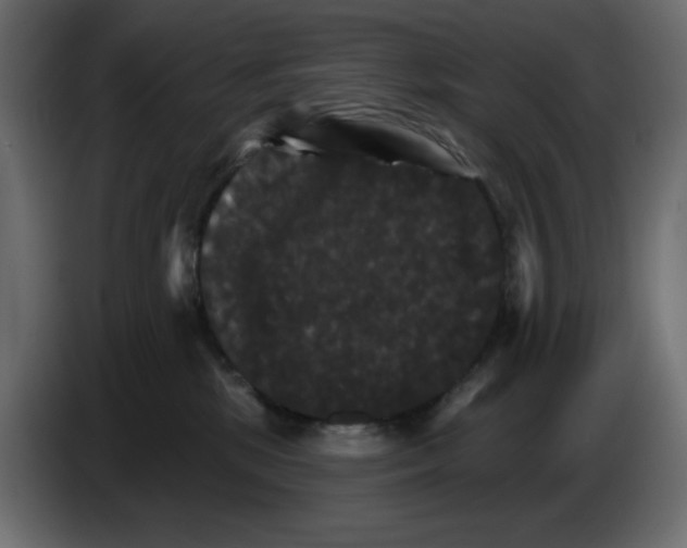 X0000084520281200703231637