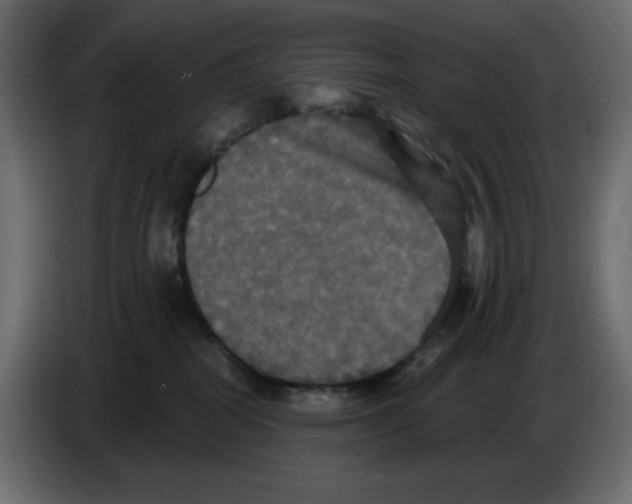 X0000084520282200703231637