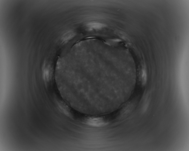 X0000084520283200703231637