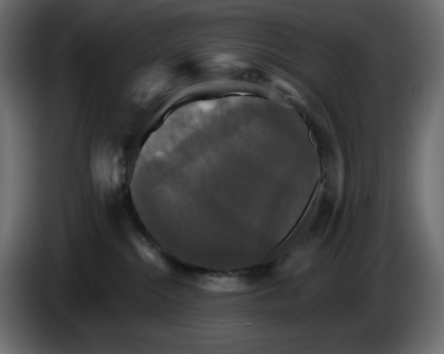 X0000084520284200703231637