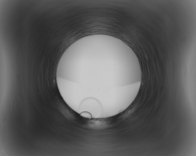 X0000084520286200703231637