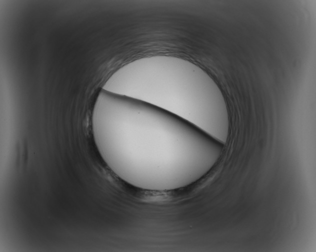 X0000084520288200703231637