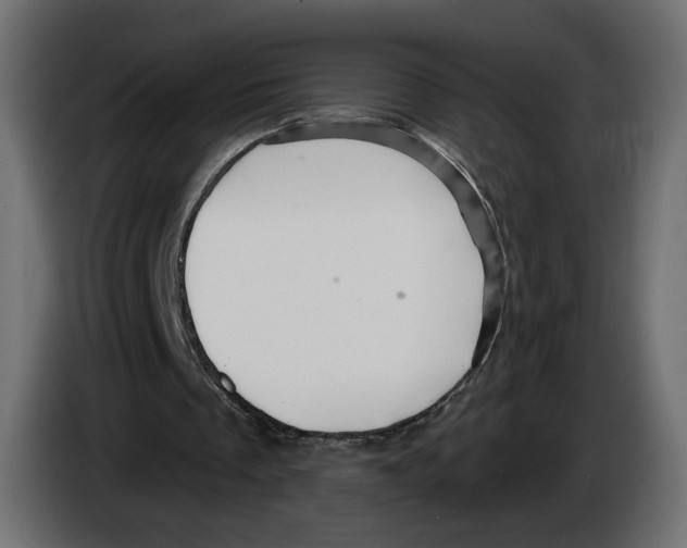 X0000084520289200703231636