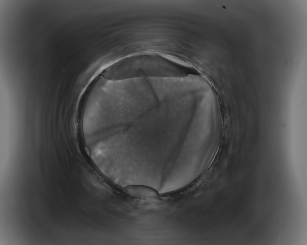 X0000084520290200703231636