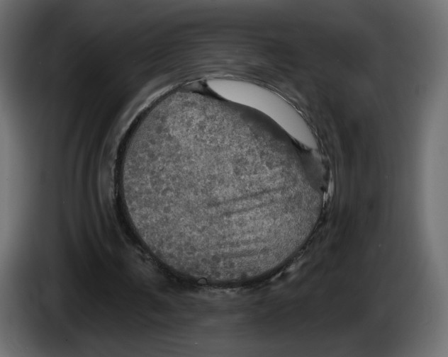 X0000084520291200703231636