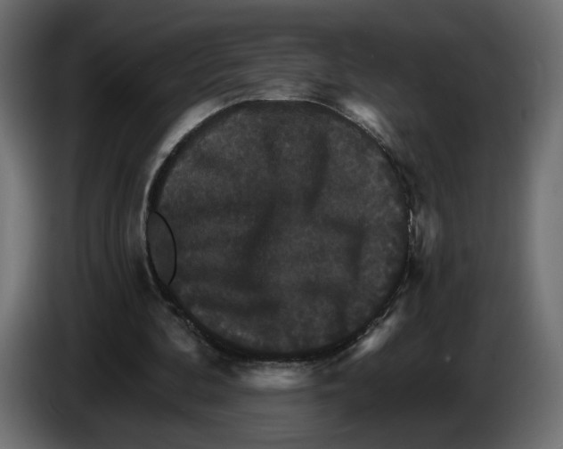 X0000084520292200703231636