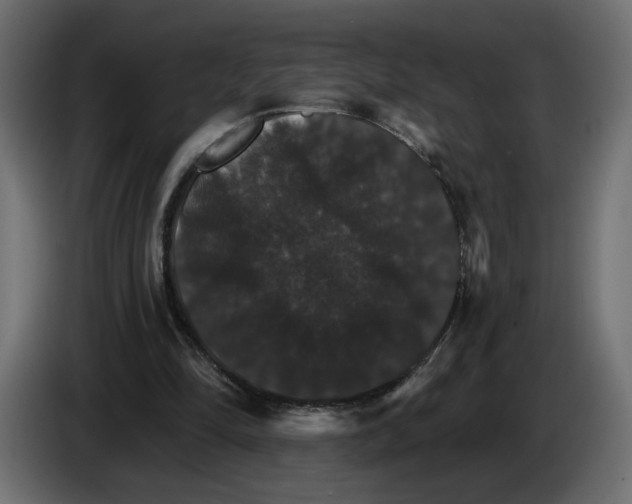 X0000084520294200703231636