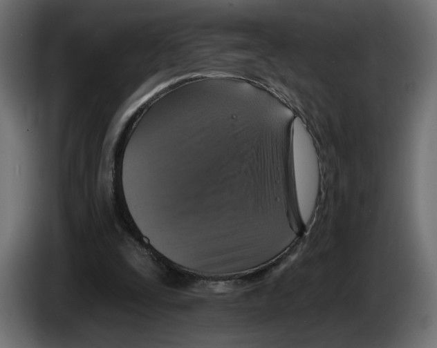 X0000084520295200703231636