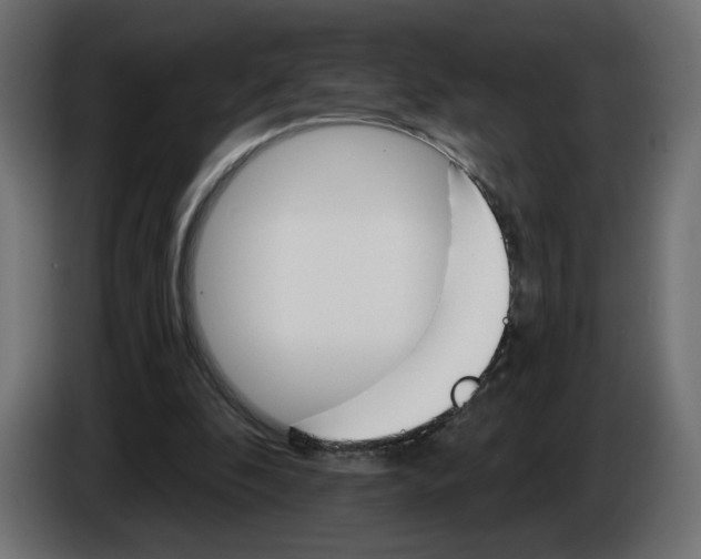 X0000084520296200703231636