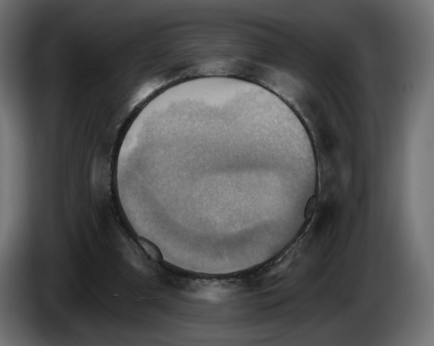 X0000084520297200703231636