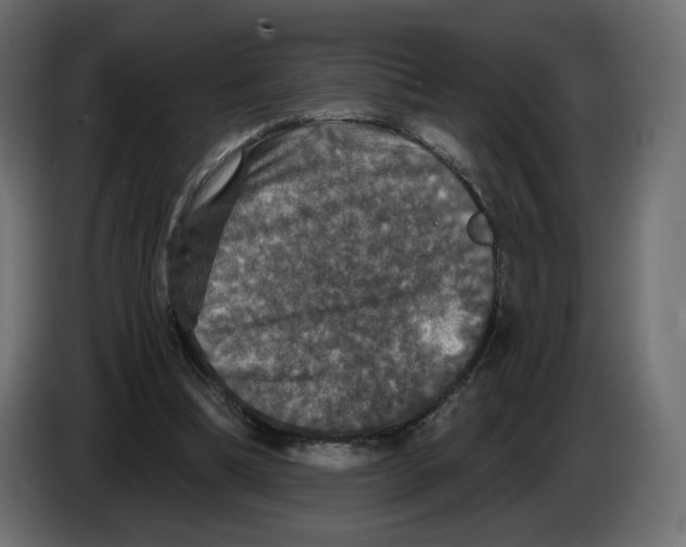 X0000084520298200703231636