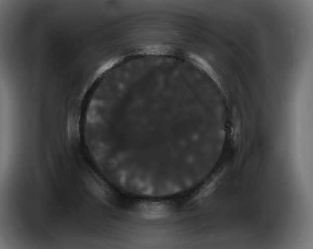 X0000084520299200703231636