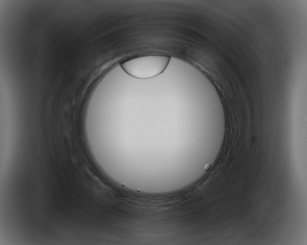 X0000084520302200703231636