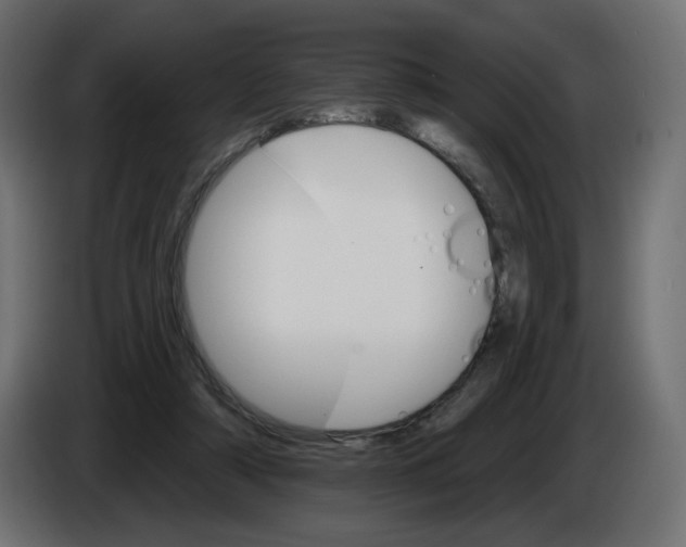 X0000084520306200703231636