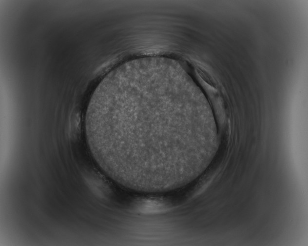 X0000084520308200703231636