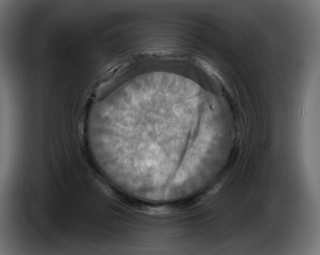 X0000084520309200703231636