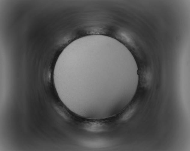 X0000084520310200703231636