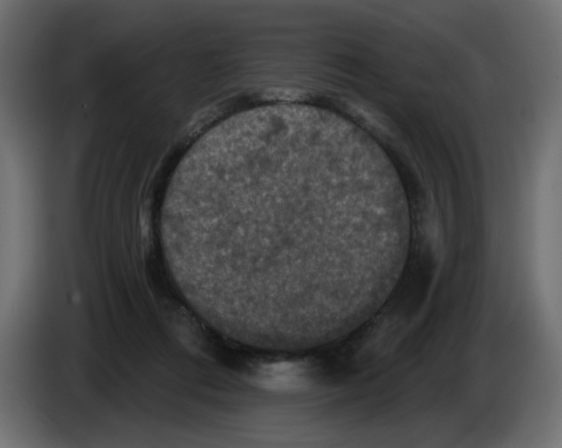 X0000084520312200703231636