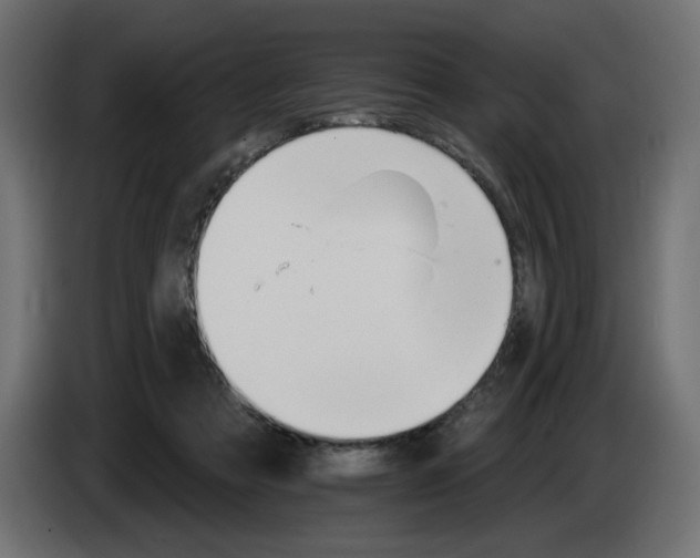 X0000084520313200703231636