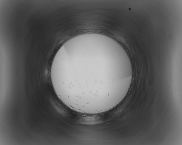 X0000084520314200703231636