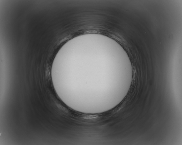 X0000084520318200703231636