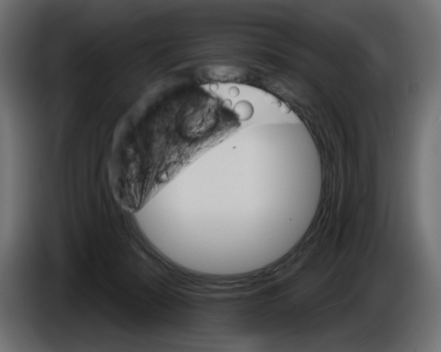 X0000084520319200703231636