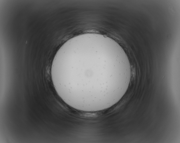 X0000084520322200703231636