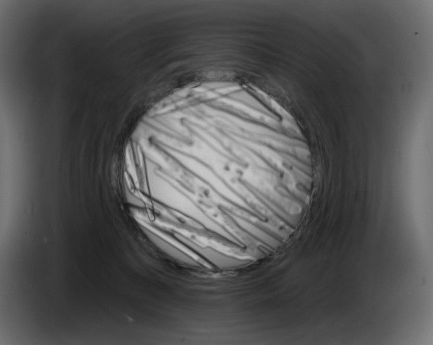 X0000084520323200703231636