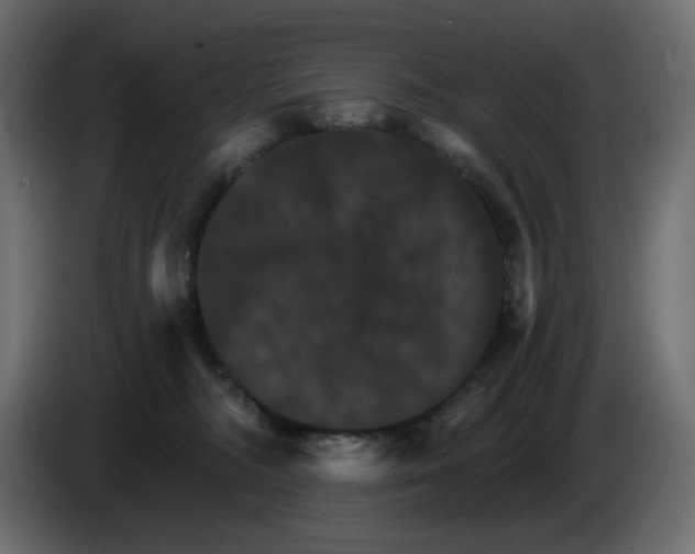 X0000084520326200703231636