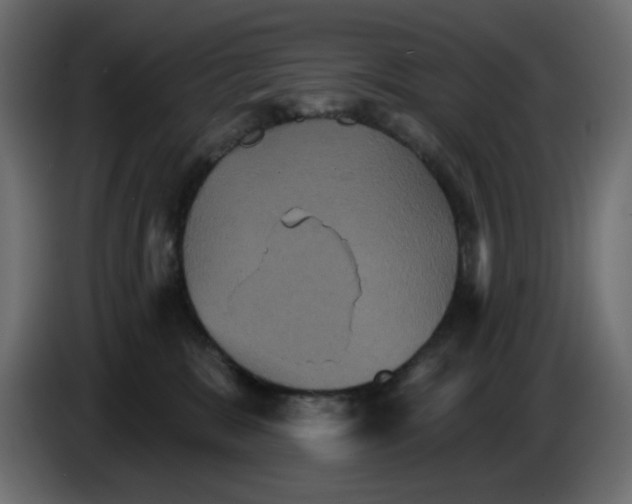 X0000084520327200703231636