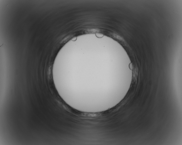 X0000084520330200703231636