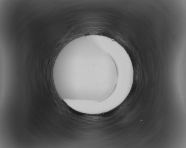 X0000084520332200703231636