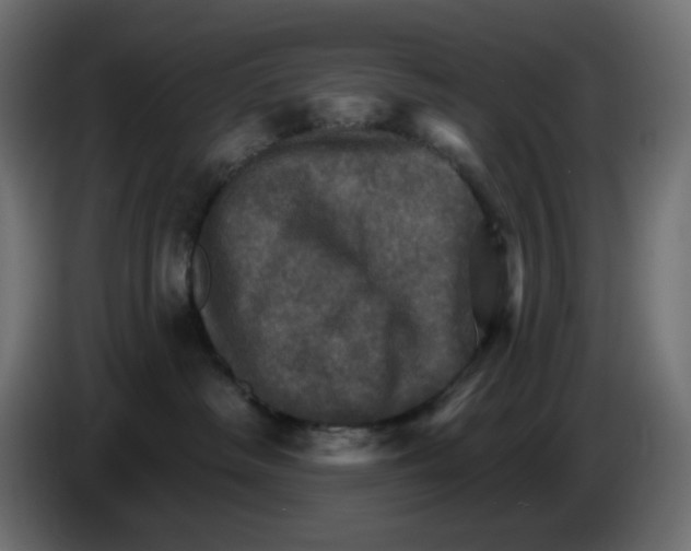 X0000084520334200703231636