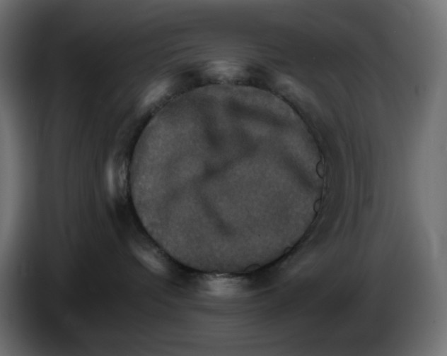 X0000084520336200703231636